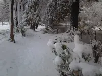 skipiste.webp