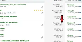 dg43tergfw3.webp