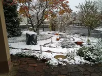 2012-10-27 09.21.47.webp