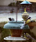 comp_DSC00725.webp