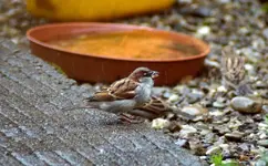 comp_DSC00715.webp