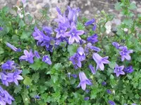 Bild 2089.webp