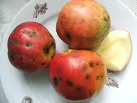 1210280001.webp