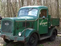 P1070189 (800x600).webp