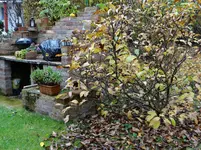 Herbst.webp