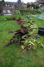 comp_DSC00685.webp