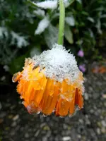 050.webp