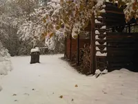 Holzmichel.webp