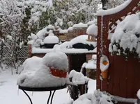 Winter1.webp