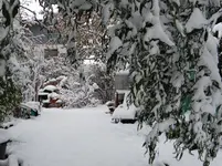 Winter2.webp