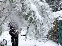 Schnee1.webp