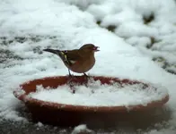 comp_DSC00798.webp
