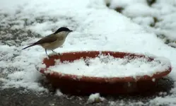 comp_DSC00809.webp