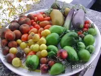 BILD0025.webp