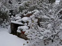 Winter3.webp