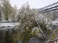 DSC01158.webp