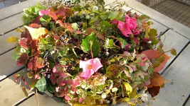DSCN3912.webp