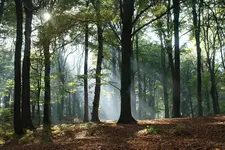 Herbstspaziergang_1_DSC05565.webp