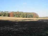 002.webp