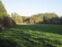 008.webp