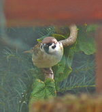 P1080848.webp