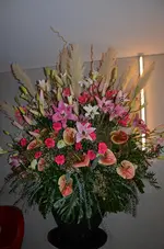 DSC_0374.webp