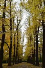 DSC_4012 im Park.webp