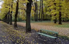 DSC_4015 im Park.webp