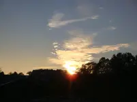 DSC01187.webp