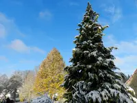 Himmlisch_061.webp