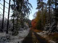 SAM_0990.webp