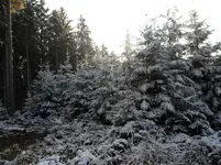 SAM_0993.webp
