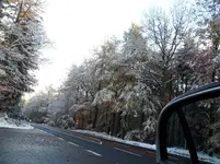 SAM_0996.webp