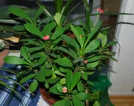 DSC_9390.2.webp