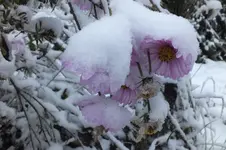 2012_1027Herbst0004.webp