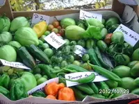 BILD0026.webp