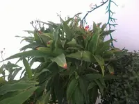 2012-10-29 12.55.36.webp