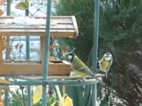 DSC01180.webp