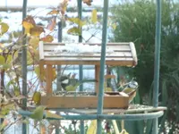 DSC01181.webp