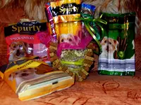 SDC15167.webp