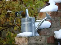 Gießkanne.webp
