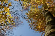 Herbstlich_1_DSC00944.webp