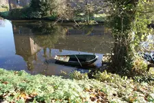 Herbstlich_3_DSC00907.webp