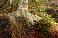 Herbstlich_4_DSC00968.webp