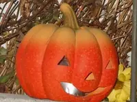 k-DSCN0964.webp