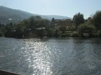 Bild 1962.webp