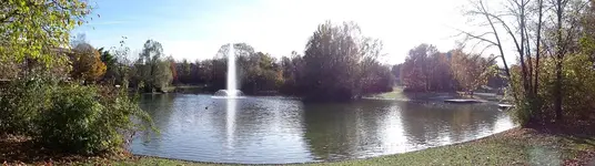 panorama.webp