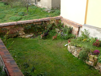 zicklein06.webp