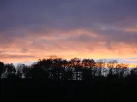 DSC01224.webp