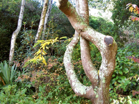 Copy of Herbst 029v.webp